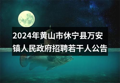 2024年黄山市休宁县万安镇人民政府招聘若干人公告 图片
