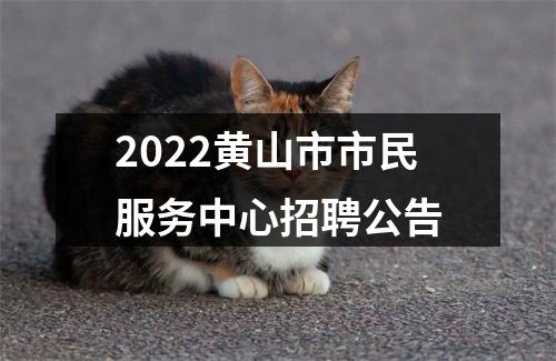 2022黄山市市民服务中心招聘公告 图片