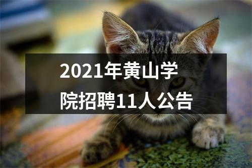 2021年黄山学院招聘11人公告 图片