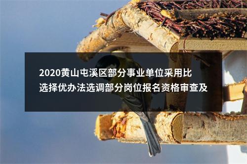 2020黄山屯溪区部分事业单位采用比选择优办法选调部分岗位报名资格审查及面试公告 图片