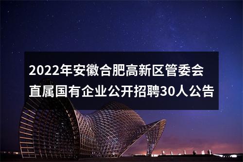 2022年安徽合肥高新区管委会直属国有企业公开招聘30人公告 图片