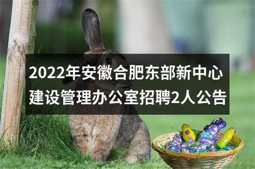 2022年安徽合肥东部新中心建设管理办公室招聘2人公告 图片