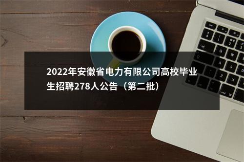 2022年安徽省电力有限公司高校毕业生招聘278人公告（第二批） 图片